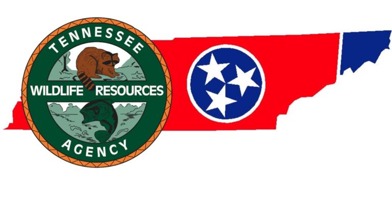 Laws in Tennessee Regarding the Rescue and Rehabilitation of Wild Animals